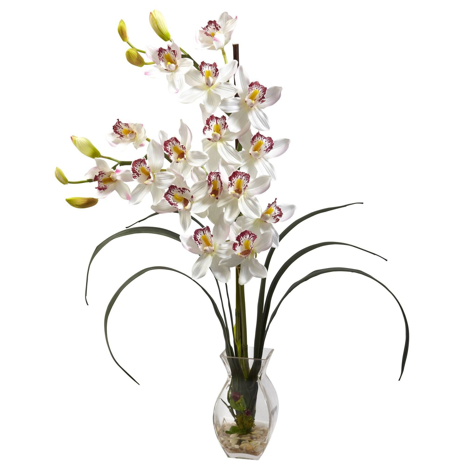 Cymbidium Orchid w/Vase Arrangement