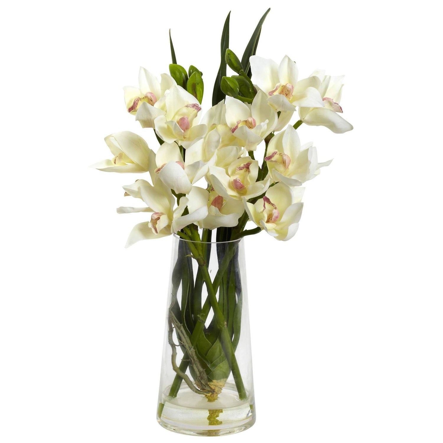 Cymbidium Orchid w/Vase