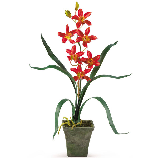 Cymbidium Orchid w/Vase (Set of 3)