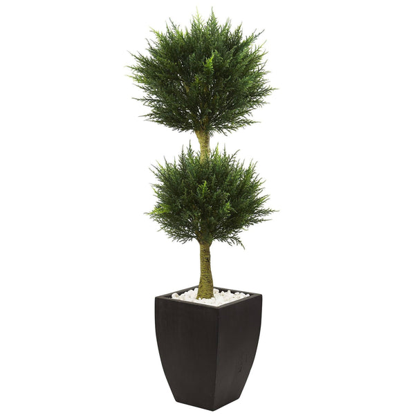 Cypress Topiary with Black Planter UV Resistant (Indoor/Outdoor)