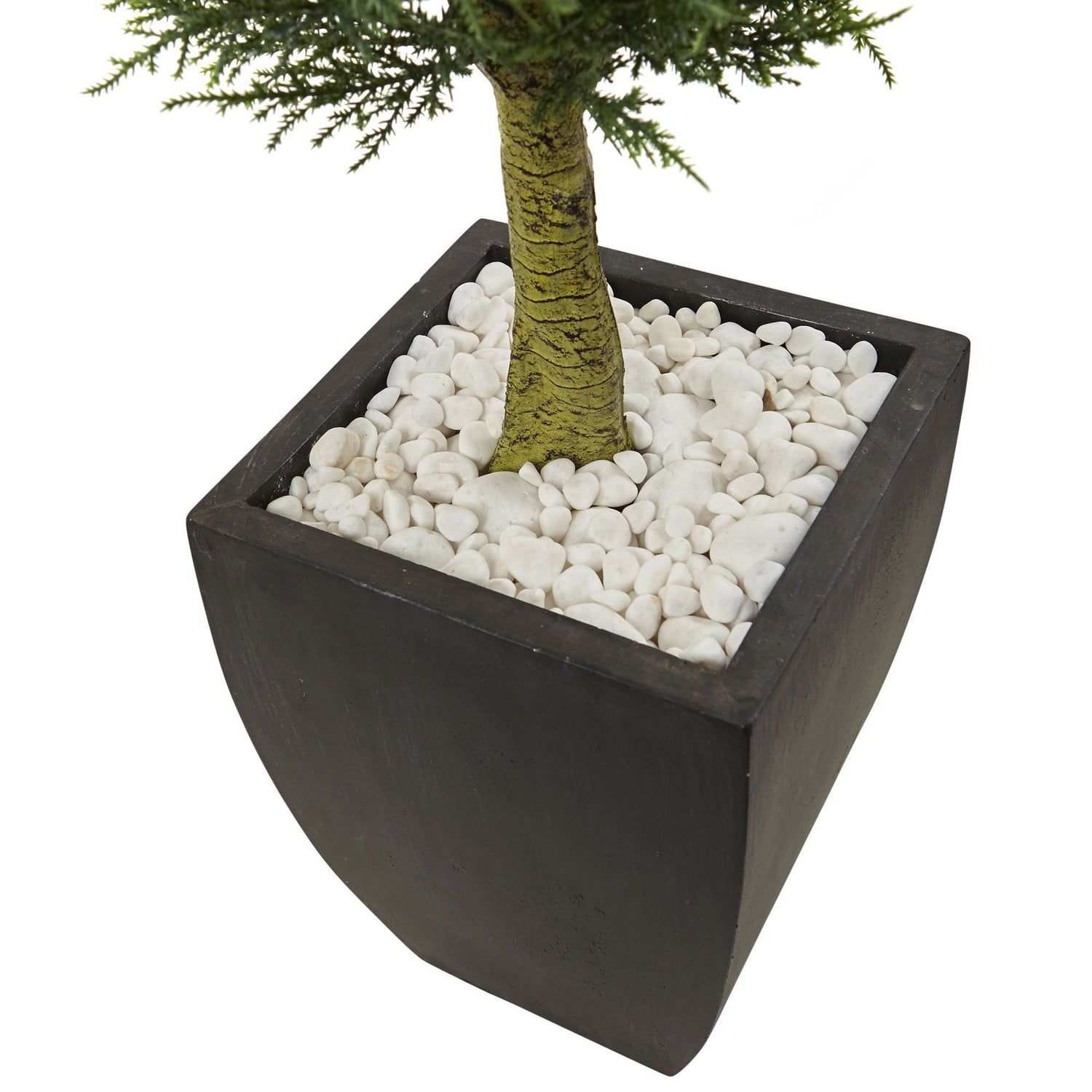Cypress Topiary with Black Planter UV Resistant (Indoor/Outdoor)