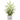 Dancing Lady Orchid Artificial Arrangement in Marble Finished Vase
