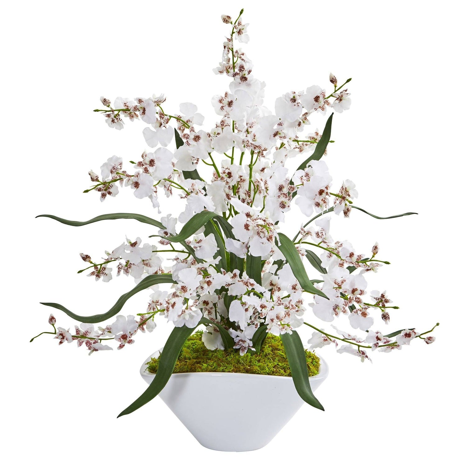 Dancing Lady Orchid Artificial Arrangement in White Vase