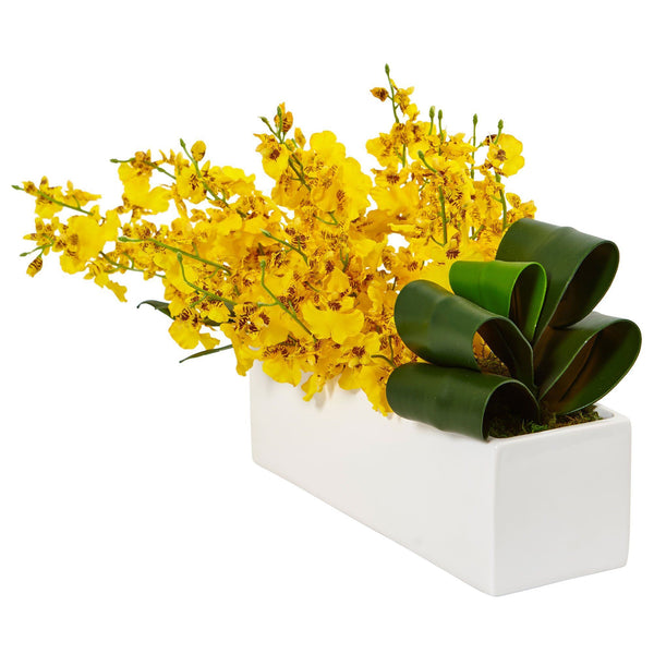 Dancing Lady Orchid in Rectangular Ceramic