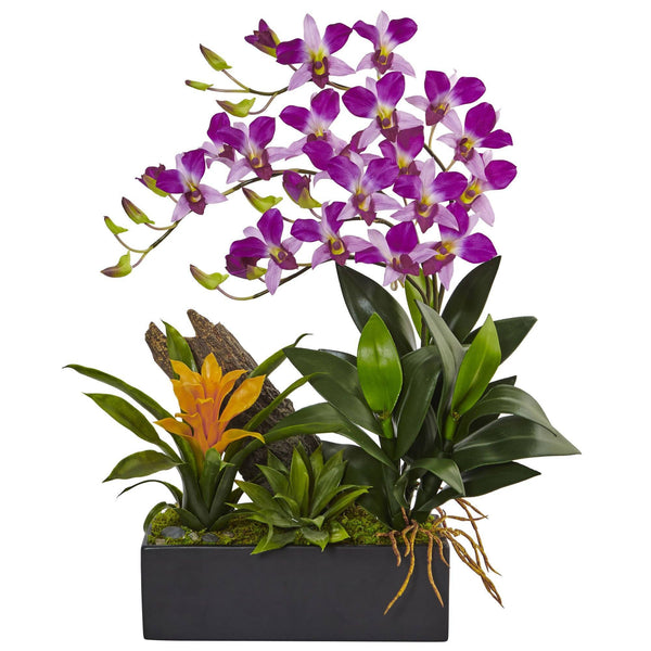 Dendrobium and Bromeliad Arrangement