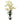 Dendrobium Orchid w/Vase Arrangement