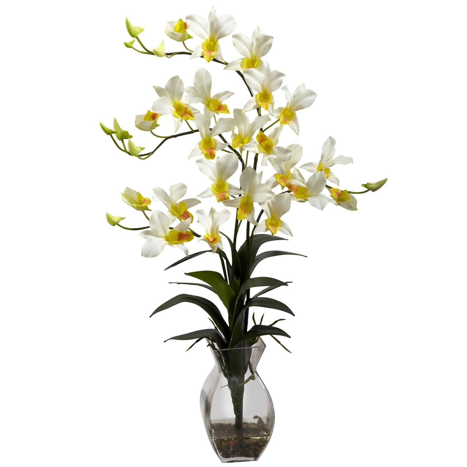 Dendrobium Orchid w/Vase Arrangement