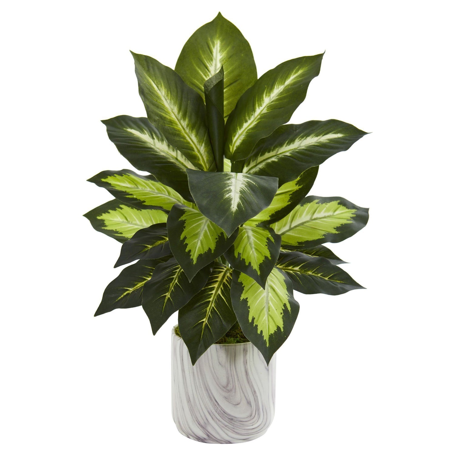 Dieffenbachia Artificial Plant in Marble Finish Planter (Set of 2)