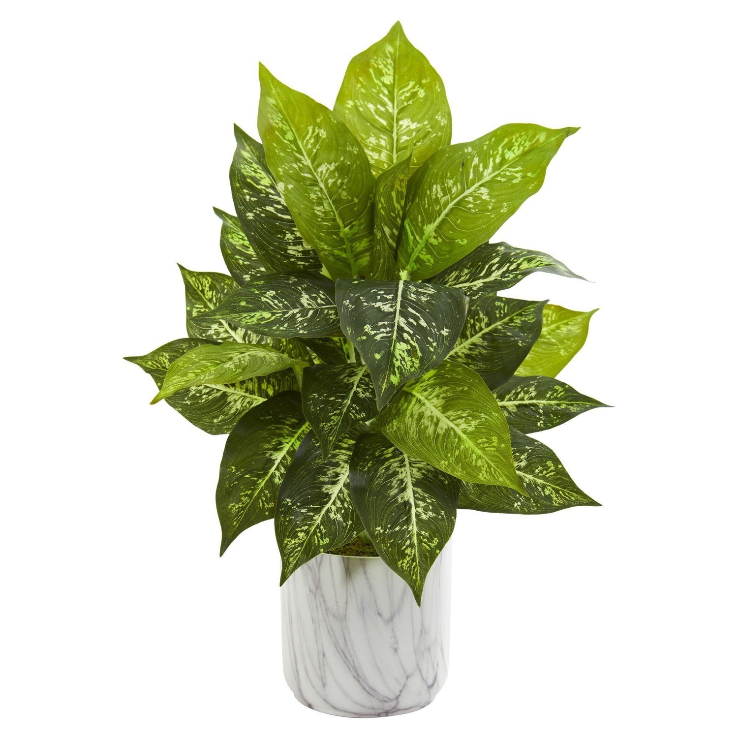 Dieffenbachia Artificial Plant in Marble Finish Planter (Set of 2)