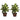 Dieffenbachia w/Wood Vase Silk Plant (Set of 2)