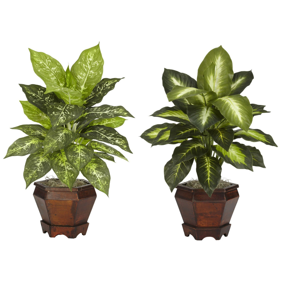 Nearly Natural Dieffenbachia with Wood Vase Silk Plant (Set of 2)
