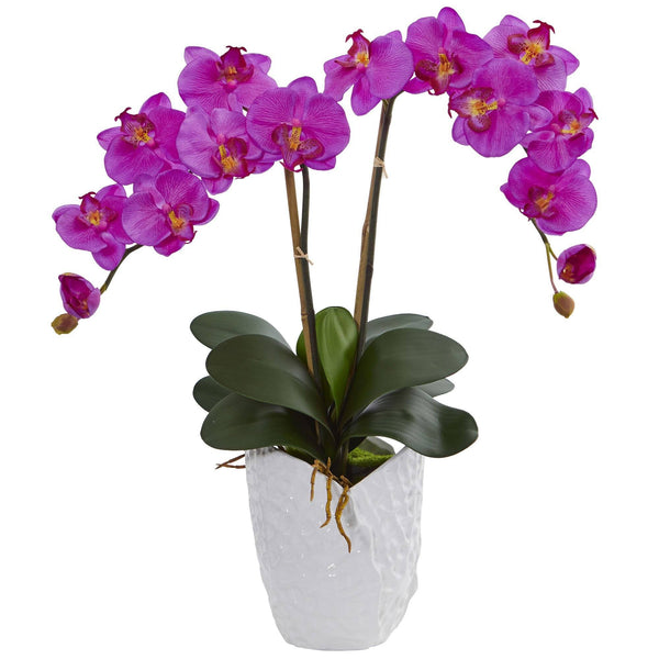 Double Phalaenopsis Orchid in White Vase