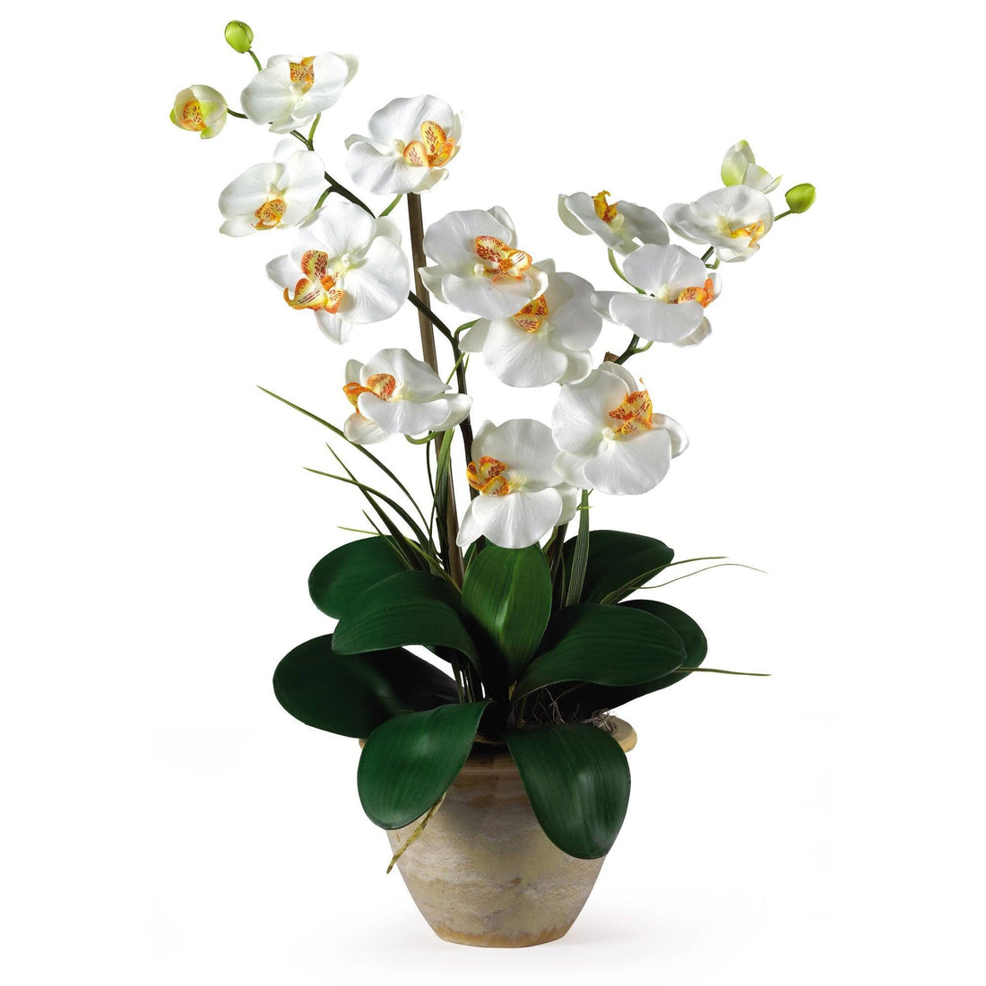 silk potted orchid plants Double Stem Phalaenopsis Silk Orchid Arrangement 1026 Nearly Natural