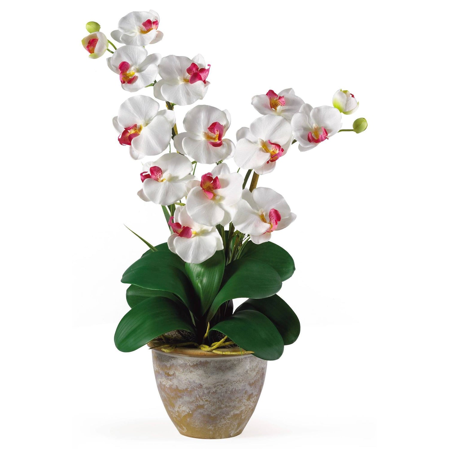 Double Stem Phalaenopsis Silk Orchid Arrangement