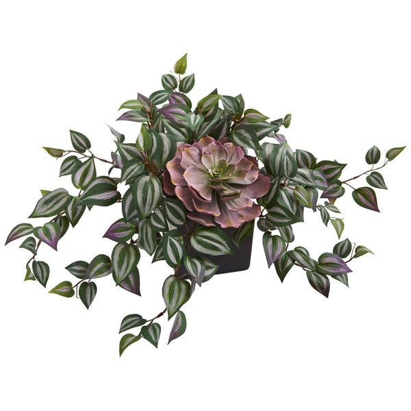 Echeveria and Wandering Jew Artificial Plant in Black Vase