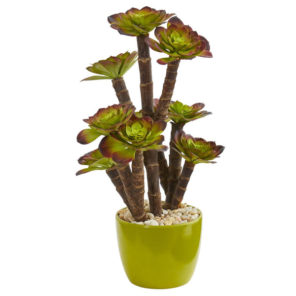 Echeveria Succulent Artificial Plant in Green Ceramic Pot