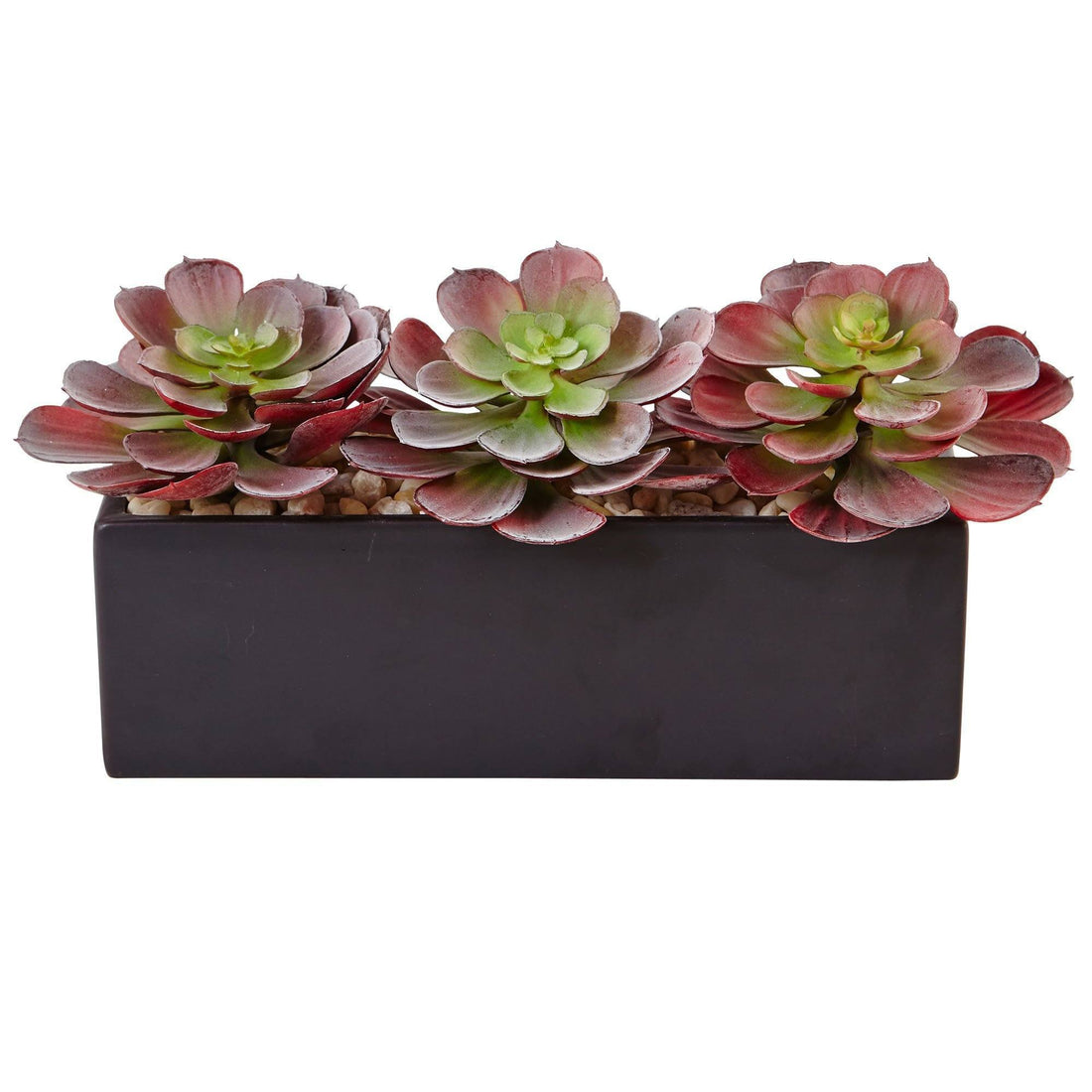 nearly natural succulents Echeveria Succulent in Rectangular Planter