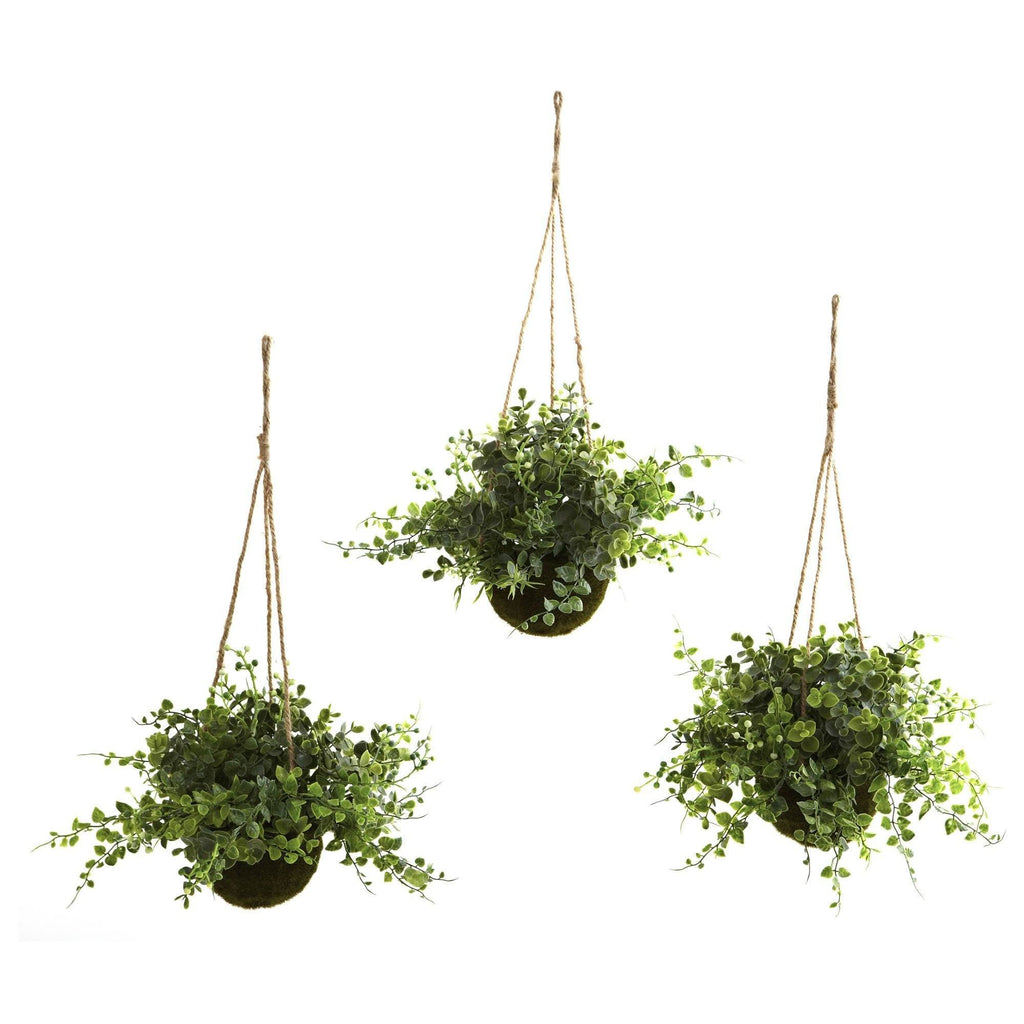 hanging plant looks like hair Nearly Natural Eucalyptus Maiden Hair & Berry Hanging Basket (Set of 3)