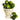 Faux Limes (Set of 12)