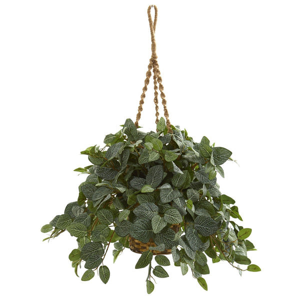 Fittonia Artifical Plant in Hanging Basket