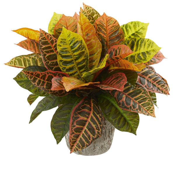 Garden Croton Artificial Plant in Weathered Oak Planter (Real Touch)
