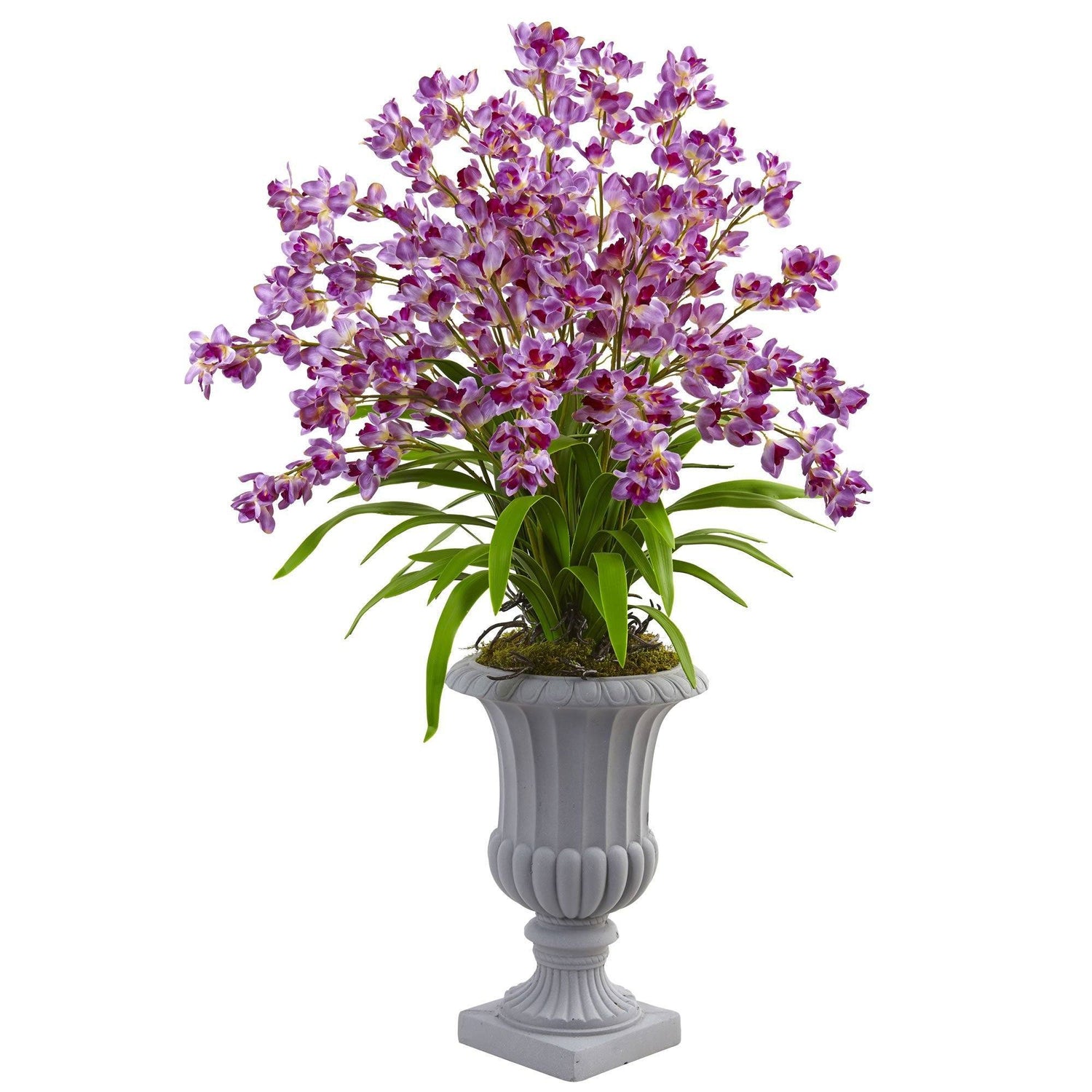 Giant Blooming Orchid Arrangement with Urn