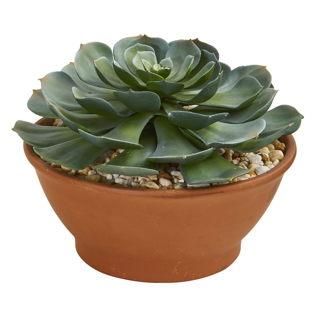 giant succulent plant Giant Echeveria Succulent Artificial Plant in Terra Cotta Planter