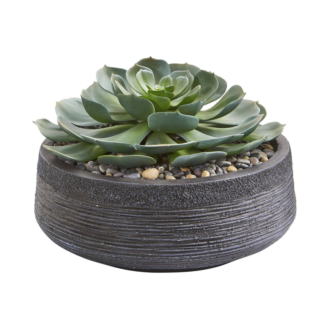 succulent from above Giant Echeveria Succulent Artificial Plant