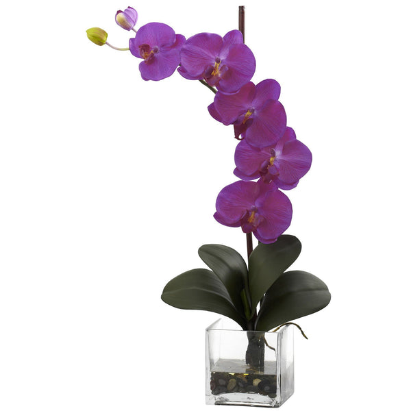 Giant Phal Orchid w/Vase Arrangement
