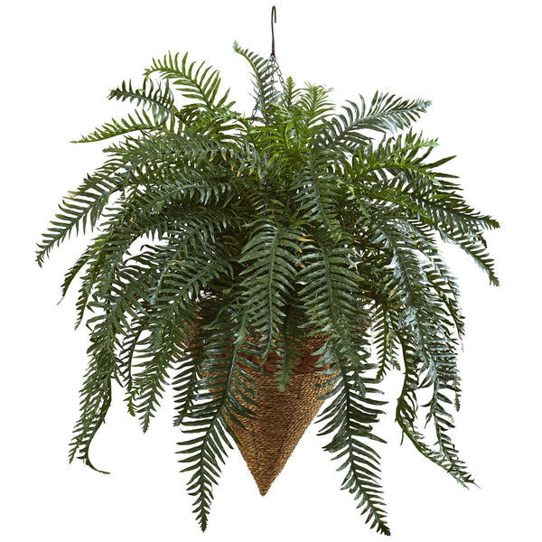 Giant River Fern with Cone Hanging Basket