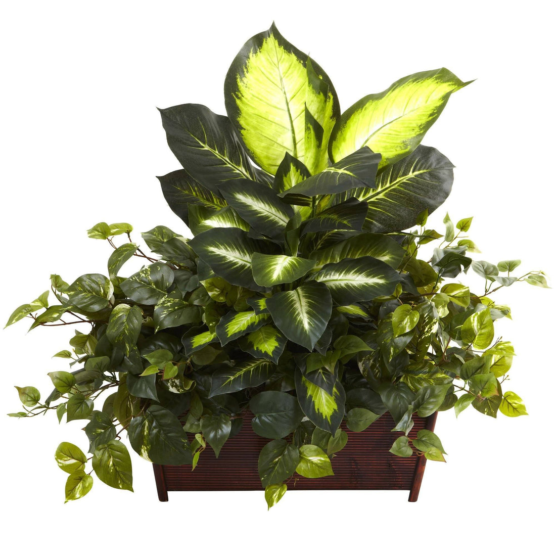 philo pothos Golden Dieffenbachia, Philo & Pothos w/Wood Planter