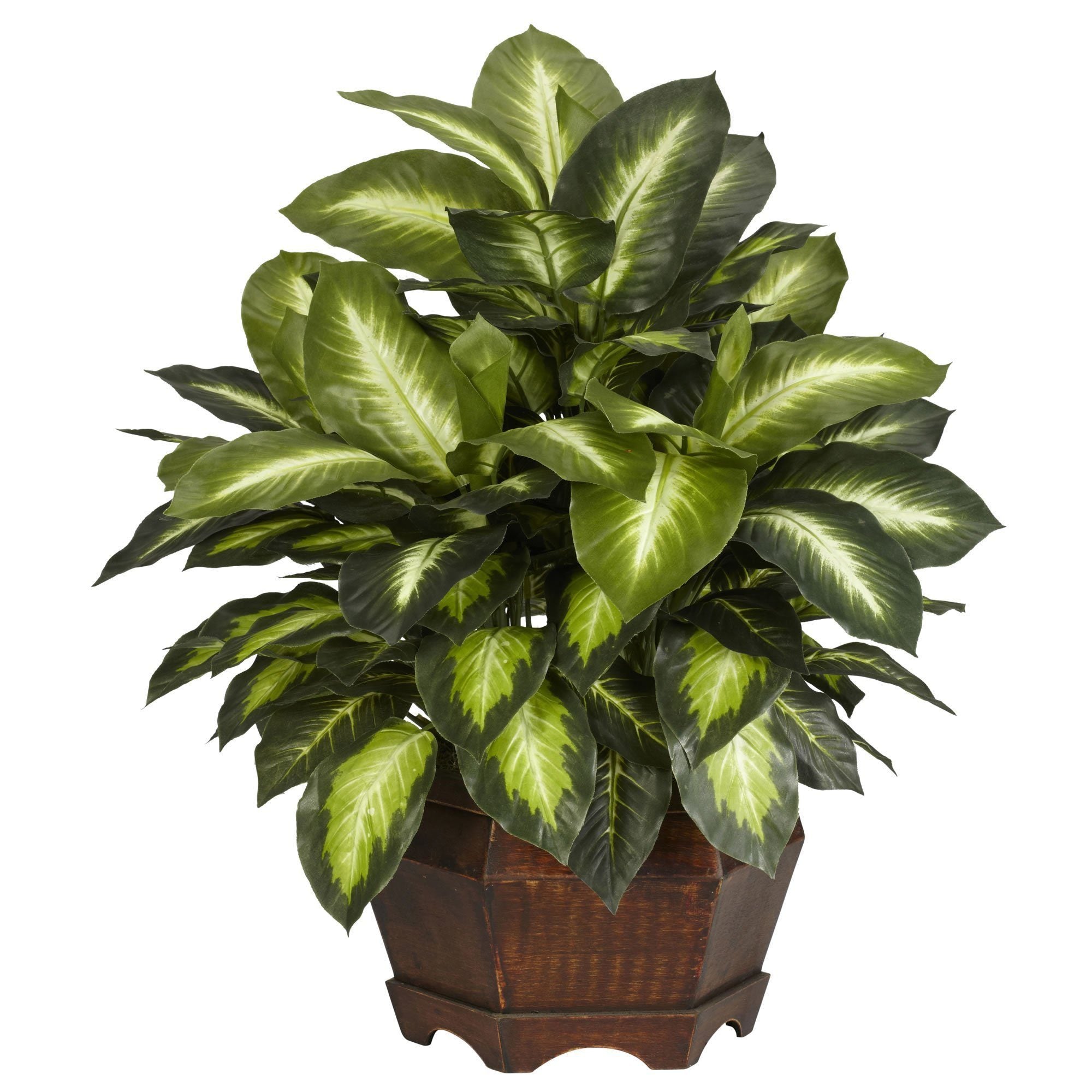 6639 24in. Golden Dieffenbachia Silk Plant