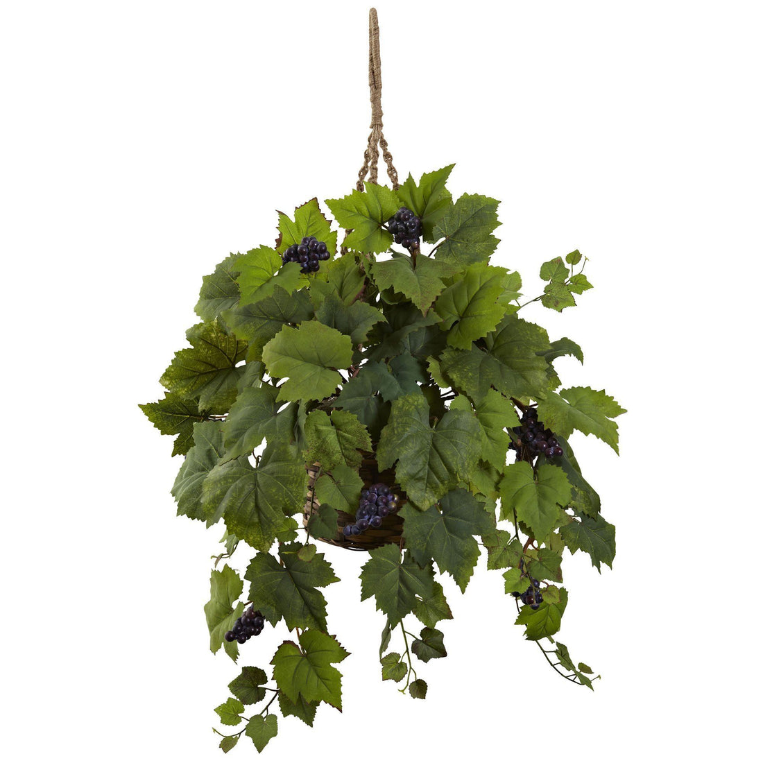 hanging grape plant Grape Leaf Hanging Basket