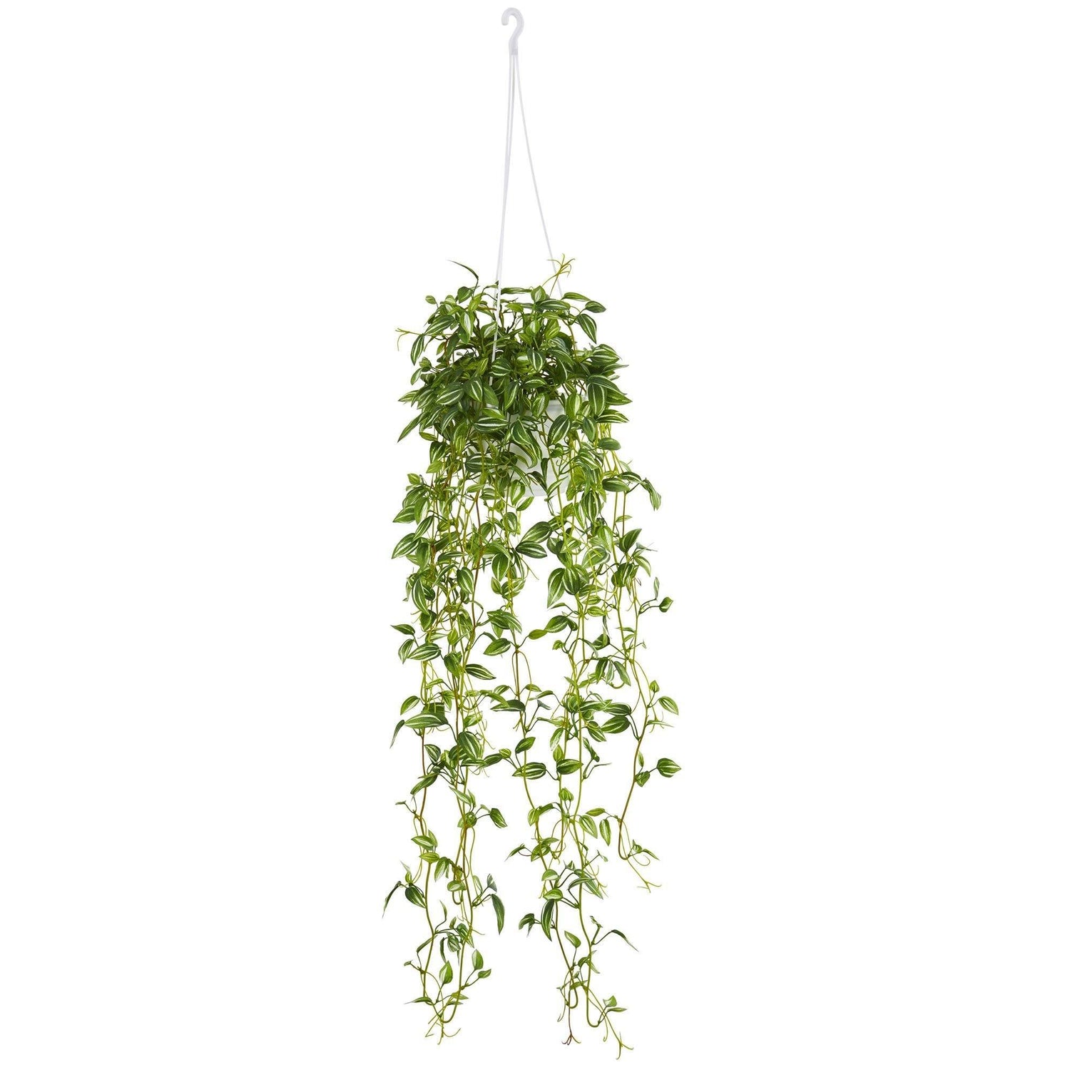 Green Variegated Wandering Jew Hanging Basket Artificial Plant