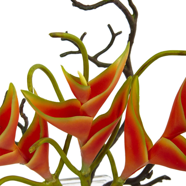 Heliconia in Glass Vase