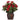 Hibiscus w/Vase Silk Plant