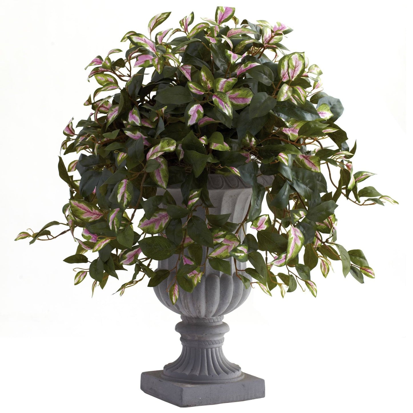 Hoya with Decorative Urn | Nearly Natural