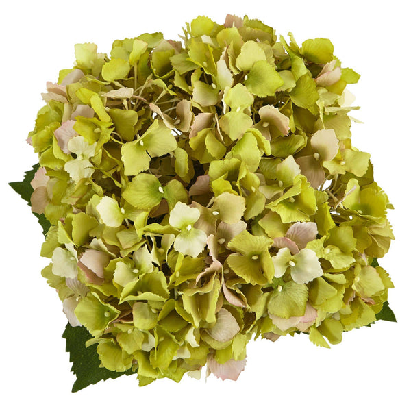 Hydrangea in New Baby Ceramic