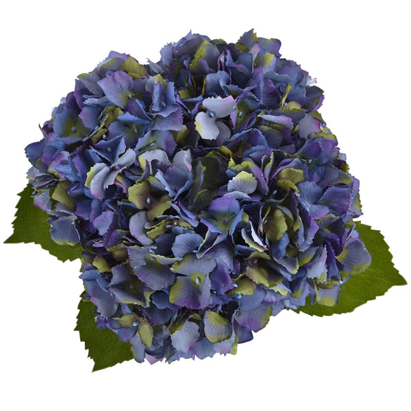 Hydrangea in New Baby Ceramic