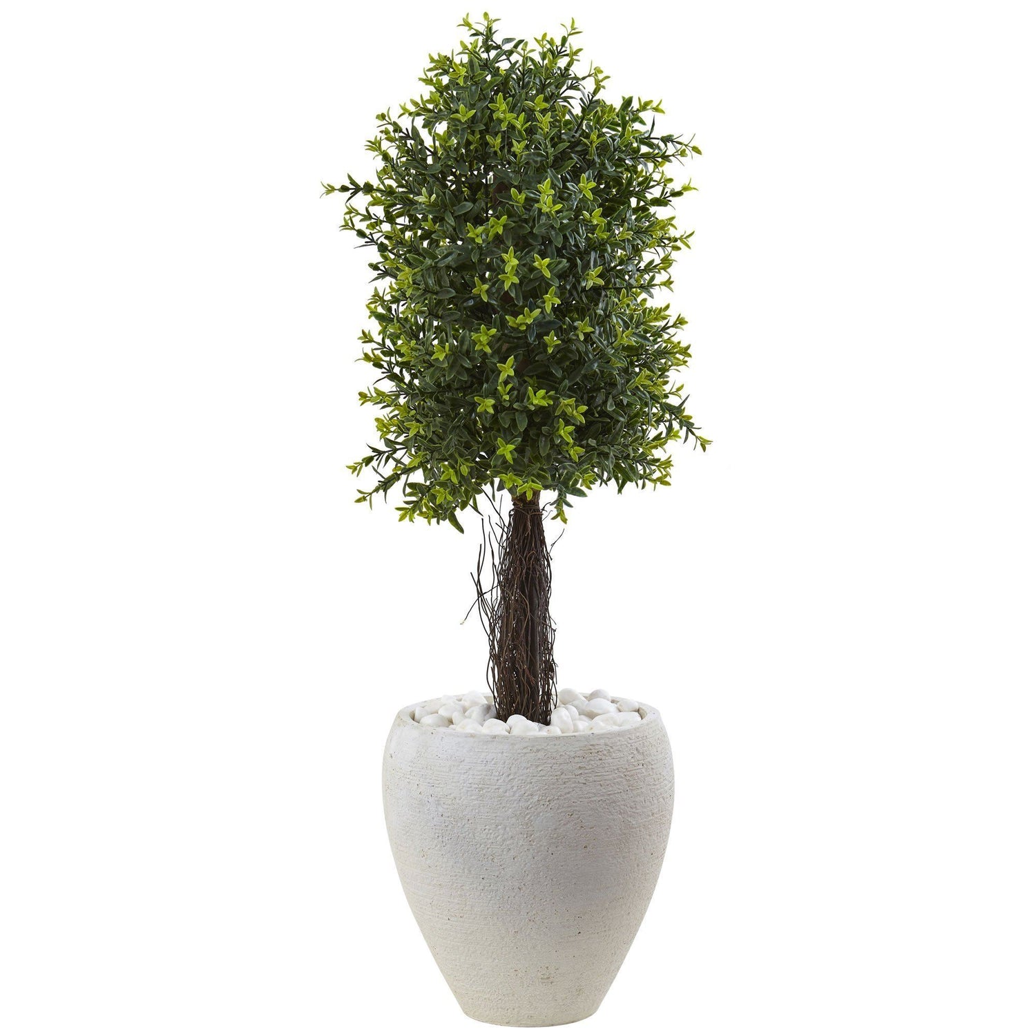 Ixora Topiary with White Planter UV Resistant (Indoor/Outdoor)