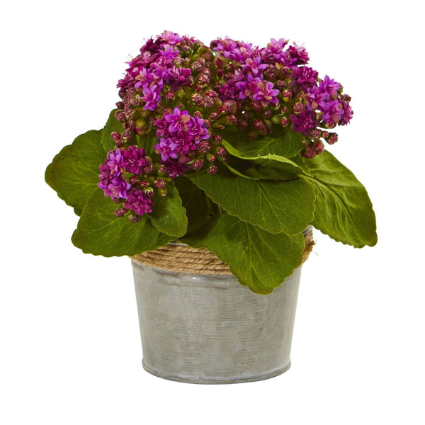 Kalanchoe Artificial Arrangements (Set of 3)