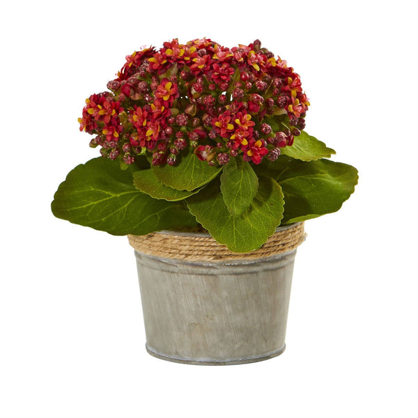 Kalanchoe Artificial Arrangements (Set of 3)