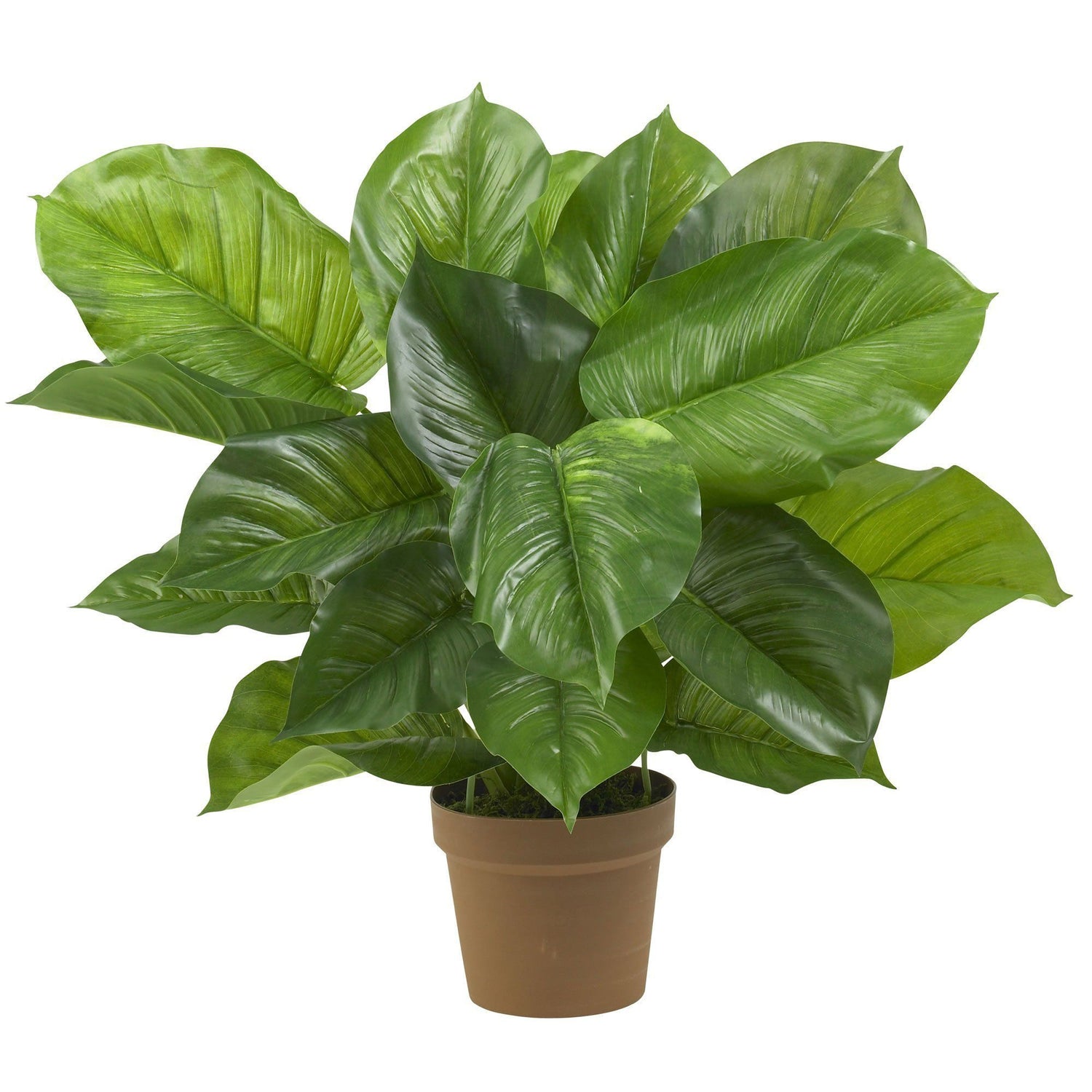 Large Leaf Philodendron Silk Plant (Real Touch)
