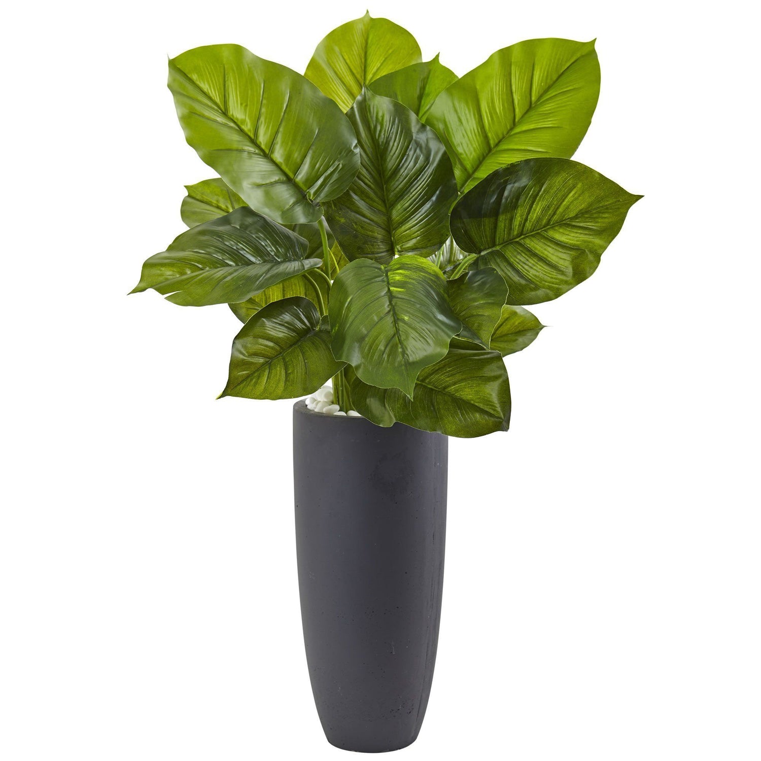 Large Leaf Philodendron with Gray Cylindrical Planter
