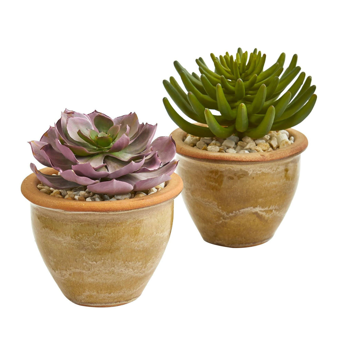 succulent fake plant Large Succulent Artificial Plant in Ceramic Vase (Set of 2)