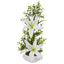 Lily and Boxwood Artificial Arrangement in White Planter
