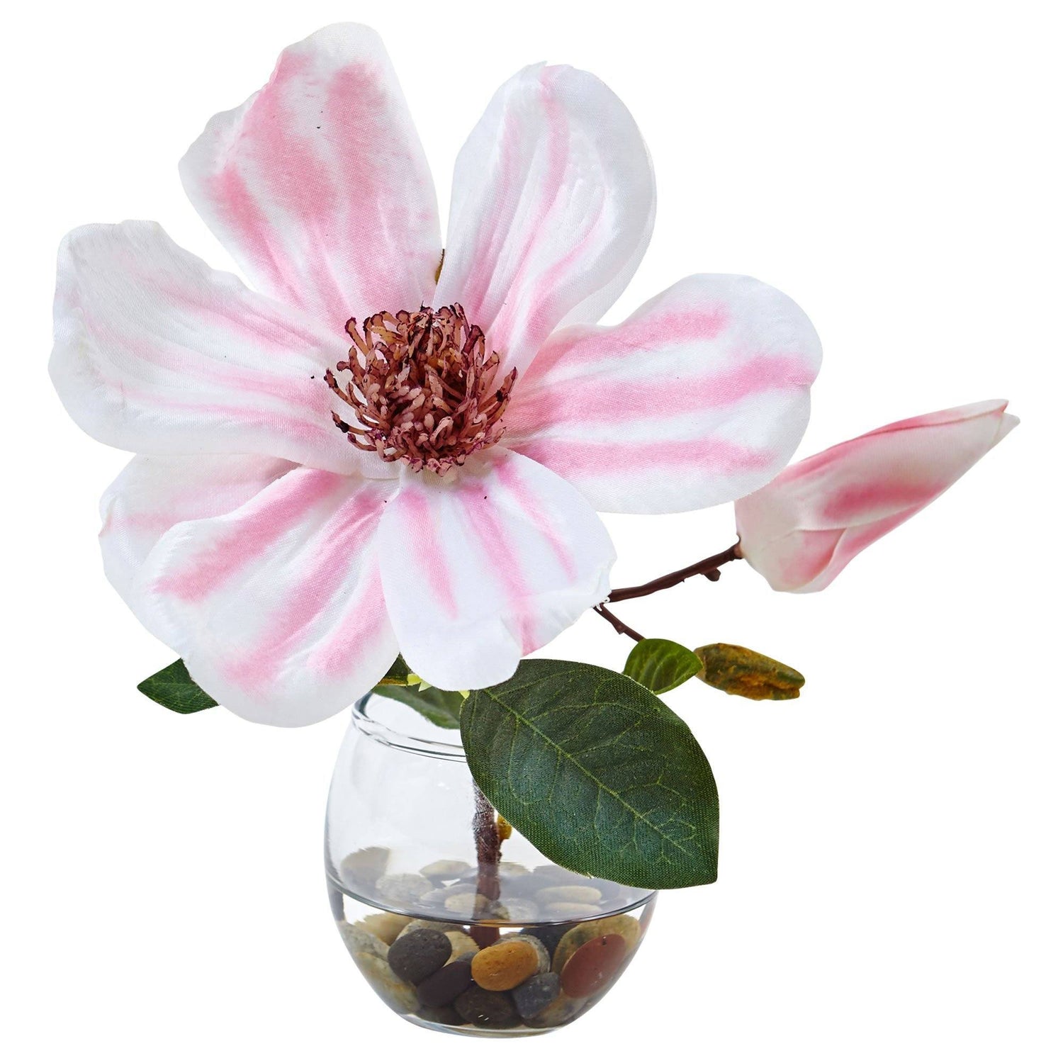 Magnolia in Votive Glass (Set of 3)