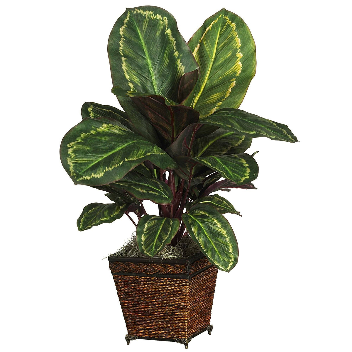 faux prayer plant Maranta w/Basket Silk Plant