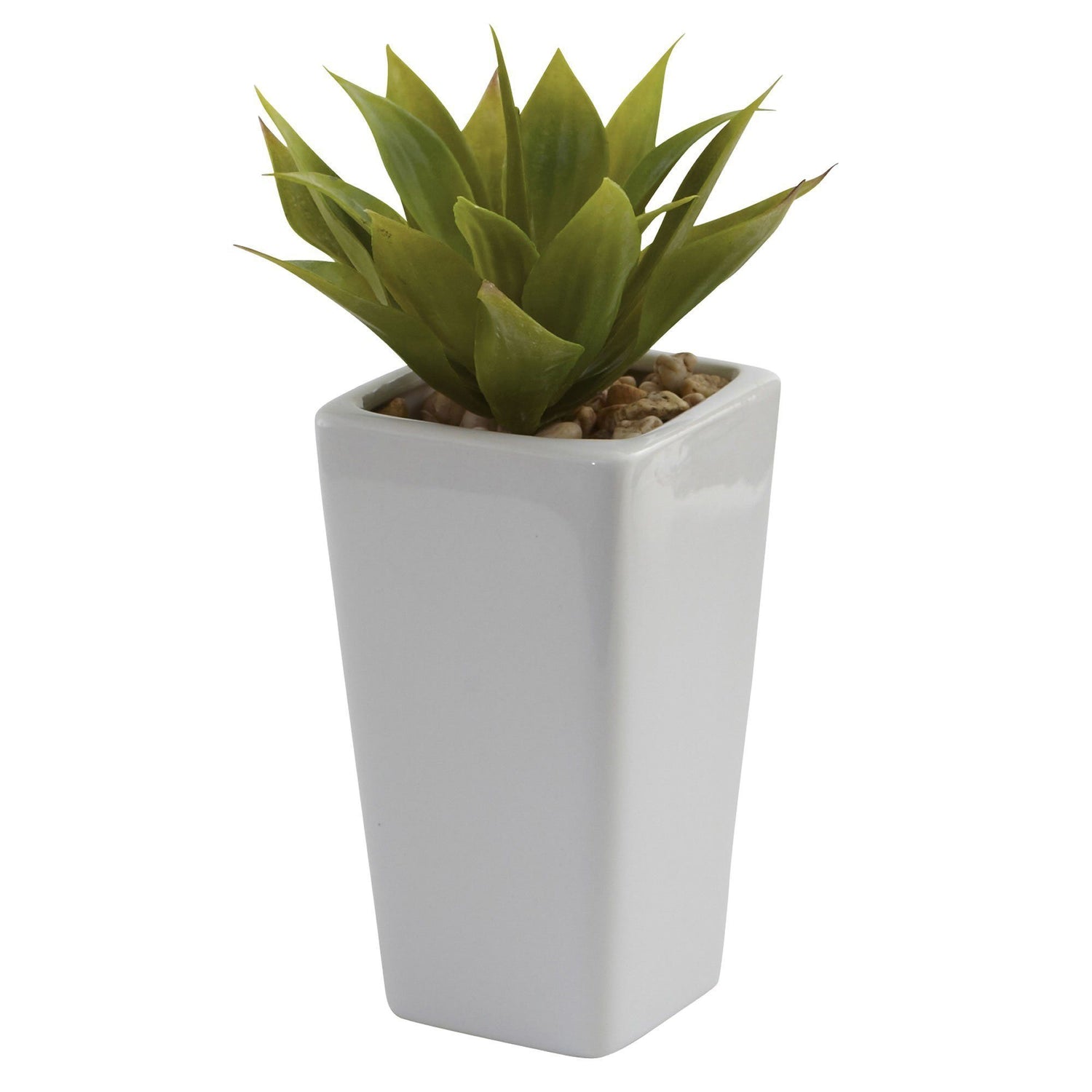 Mini Agave w/ Planter (Set of 3) White