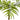 Mini Areca Palm Artificial Bush (Set of 6)